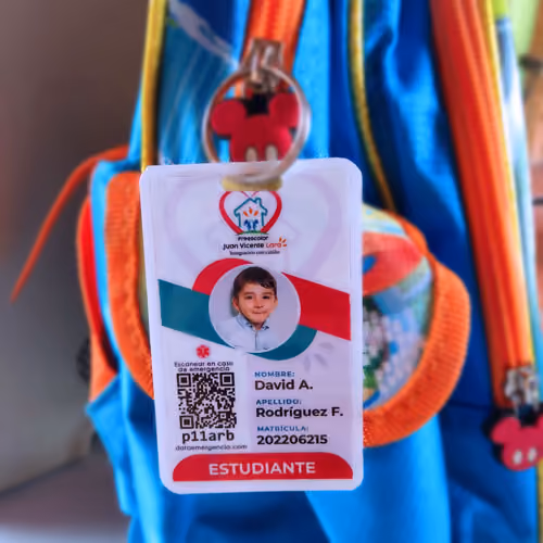 SCAEM LINK-ID (Carnet Inteligente)